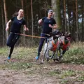 Løpebelte til konkurranse M Non-stop Canix Belt Pro M