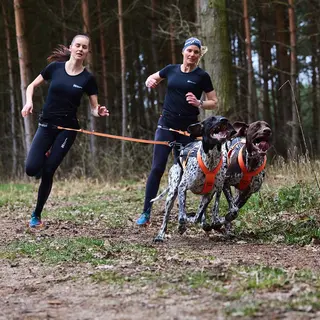 Løpebelte til konkurranse M Non-stop Canix Belt Pro M