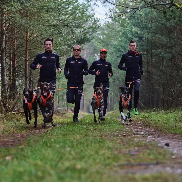 Løpebelte til konkurranse M Non-stop Canix Belt Pro M 