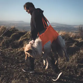 Redningssele til hund Non-stop Dog Rescue Sling