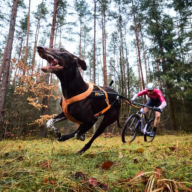 Trekksele til konkurranse 4 Non-stop Freemotion Harness 5 4 BlackOra 