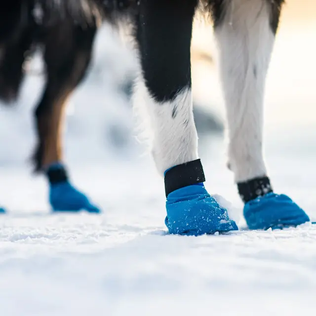 Potesokker til snø XS Non-stop Long Distance Bootie 4 pk XS 