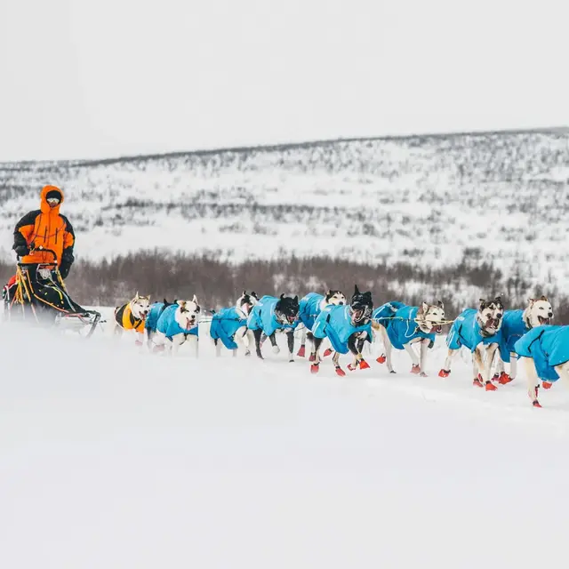 Potesokker til snø XS Non-stop Long Distance Bootie 4 pk XS 