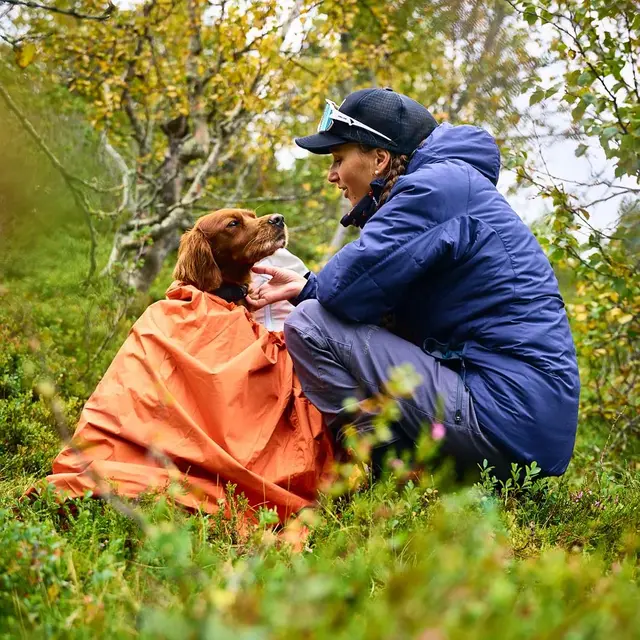 Vindsekk til hund S Non-stop Protection Bivvy Bag S 