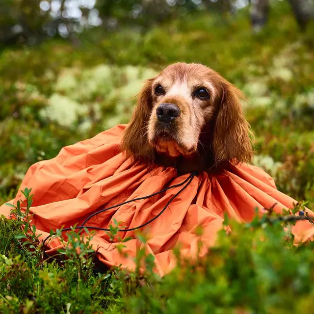 Vindsekk til hund S Non-stop Protection Bivvy Bag S 