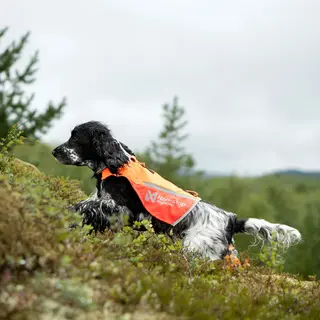 Markeringsvest til hund Non-stop Protector Vest 2 Orange