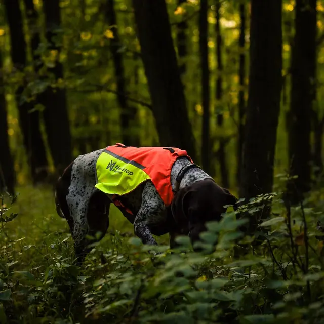 Markeringsvest til hund M Non-stop Protector Vest 2 M Orange 