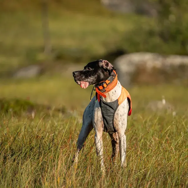 Markeringsvest til hund M Non-stop Protector Vest 2 M Orange 