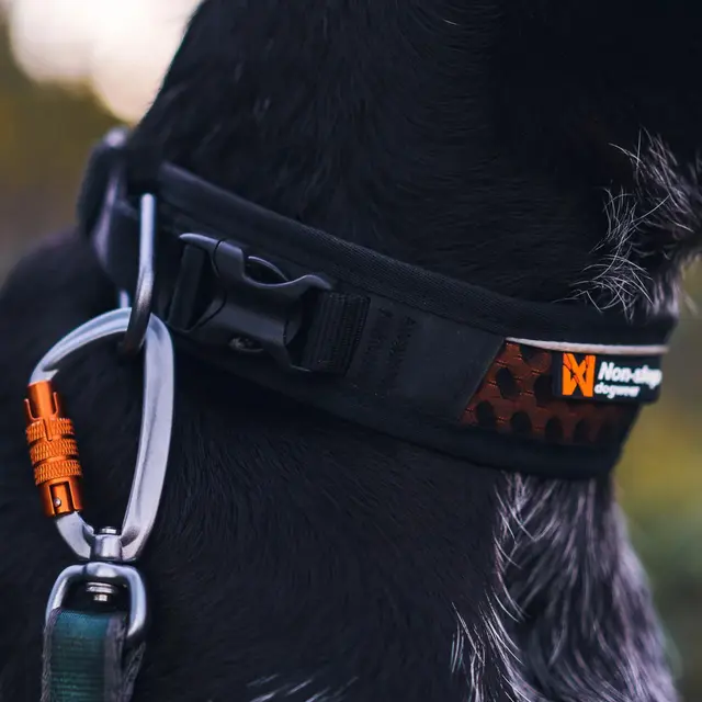 Halsbånd til hund M Non-stop Rock Adjustable Collar M 