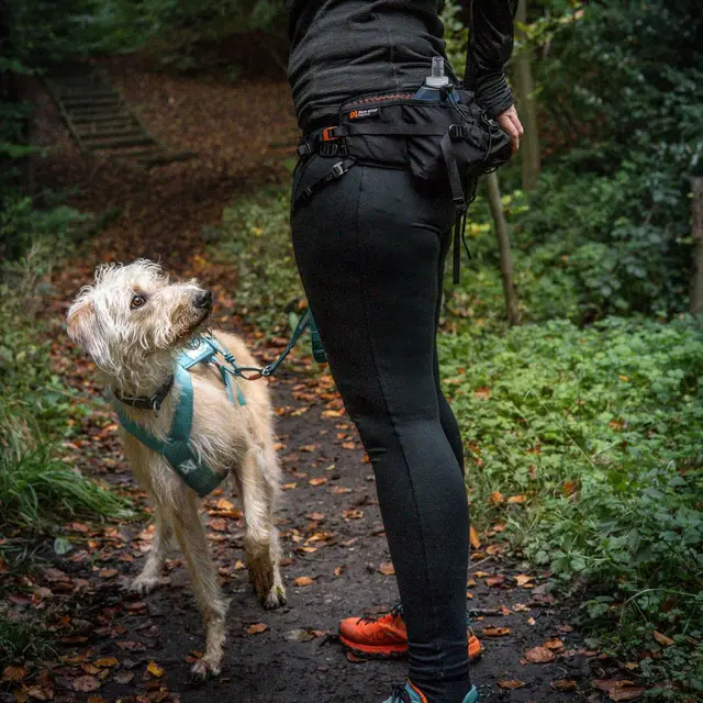 Løpebelte M Non-stop Trail Light Belt M 