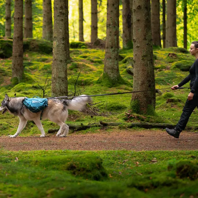 Kløv til hund XS Non-stop Trail Quest Dog Backpack XS 