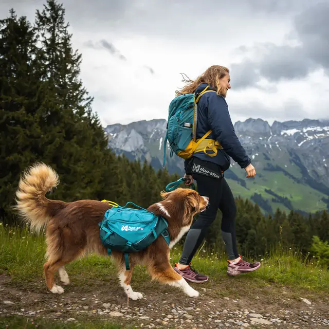 Kløv til hund XS Non-stop Trail Quest Dog Backpack XS 