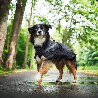 Regndress til hund Non-stop Trekking Raincoat