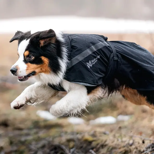 Regndress til hund 42–48 cm Non-stop Trekking Raincoat 45 cm 