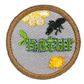 Natur NSF Fordypning Natur Bever