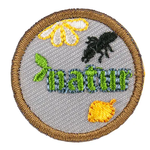 Natur NSF Fordypning Natur Bever