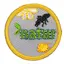 Natur NSF Fordypning Natur Flokk