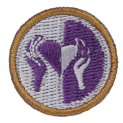 Omtanke og rettferdighet NSF Fordypning Omtanke og rettferd Bever