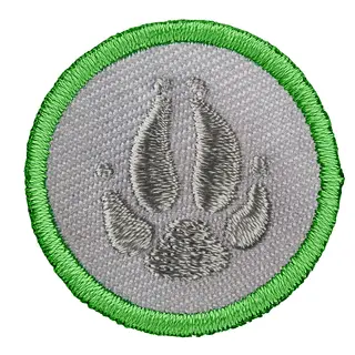 Spor NSF Fordypning Spor Tropp Patrulje