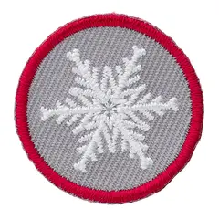 Vinter NSF Fordypning Vinter Rover