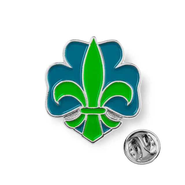 Pins NSF Logopins 