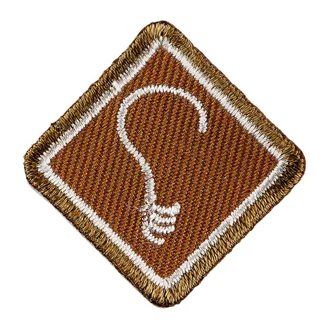 Kreativitet NSF Programmerke Kreativitet Bever