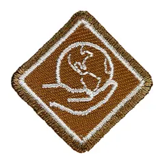 Samfunnsengasjement NSF Programmerke Samfunn Bever