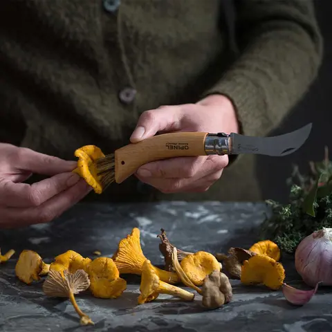 Soppkniv Opinel No 08 Champignons Mushroom Stainl
