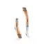 Soppkniv Opinel No 08 Champignons Mushroom Stainl