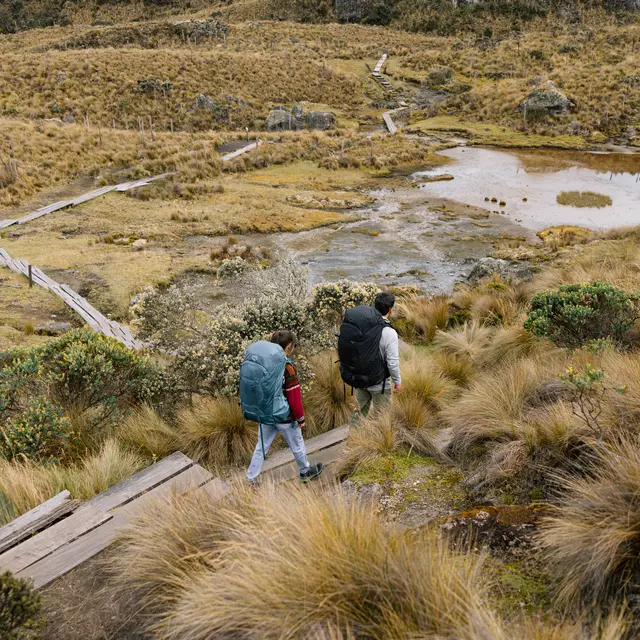 Reisesekk til herre Osprey Farpoint Trek 70 M 550 