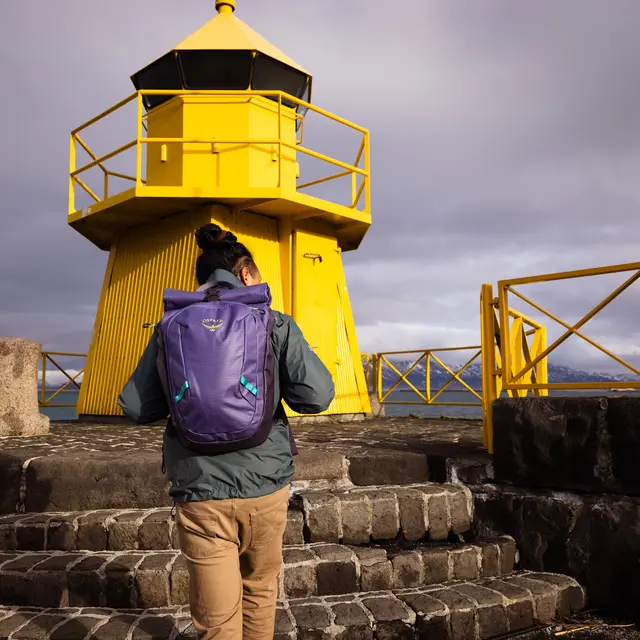 Dagstursekk 30 liter Osprey Transporter Roll Top 1066 