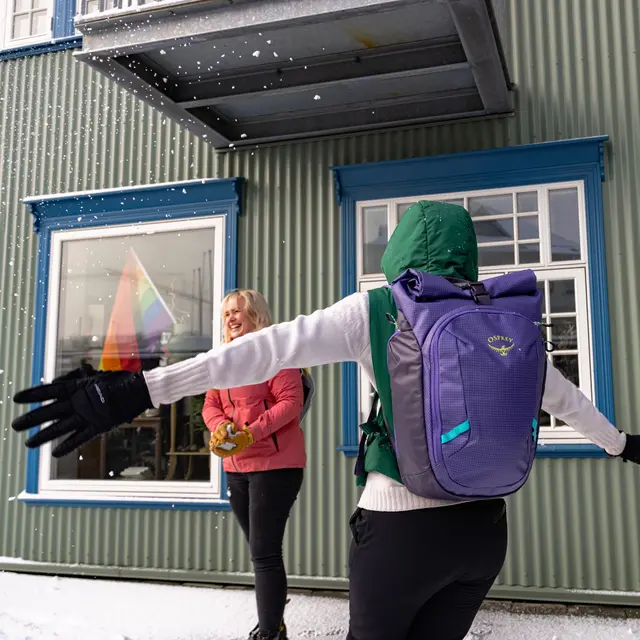 Dagstursekk 30 liter Osprey Transporter Roll Top 1066 