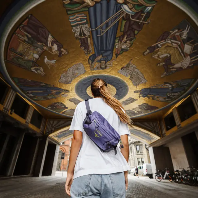 Hoftesekk 3 liter Osprey Transporter Waist Pack 1066 