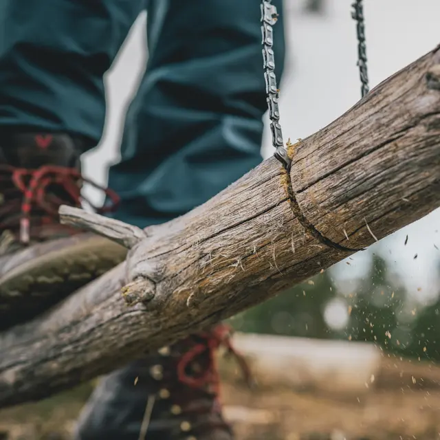 Kraftig kjedesag Robens Custer Saw 