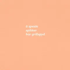 Skjorte til herre SS Tee Grillspyd M 275 SS