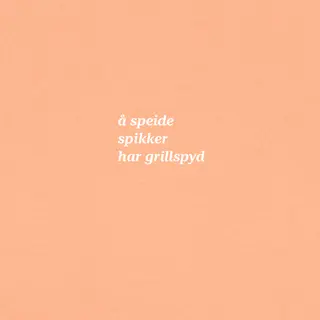 Skjorte til dame SS Tee Grillspyd W 275 SS