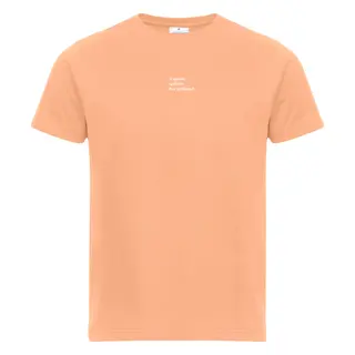 Skjorte til herre SS Tee Grillspyd M 275 SS