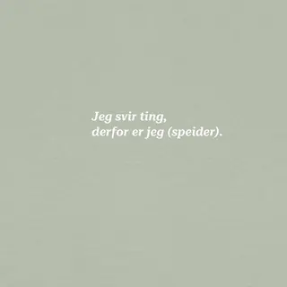 Skjorte til dame SS Tee Svir W 620 SS