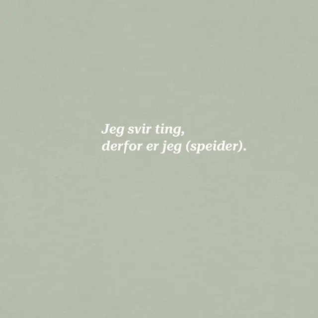 Skjorte til herre S SS Tee Svir M S 620 SS 