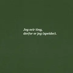 Skjorte til herre SS Tee Svir M 675 SS