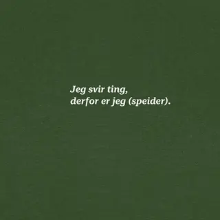 Skjorte til dame SS Tee Svir W 675 SS