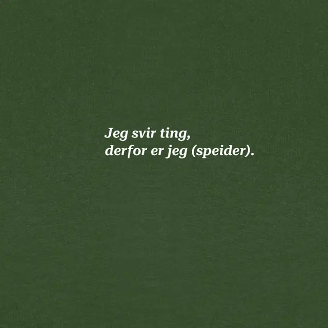 Skjorte til dame XS SS Tee Svir W XS 675 SS 