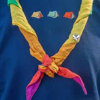 Pins SS Skjerfpins