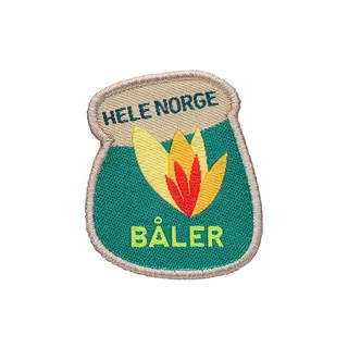 Vinterb&#229;l 2026 Speiderne Prosjekt Hele Norge b&#229;ler