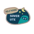 Hele Norge sover ute Speiderne Prosjekt Hele Norge sover