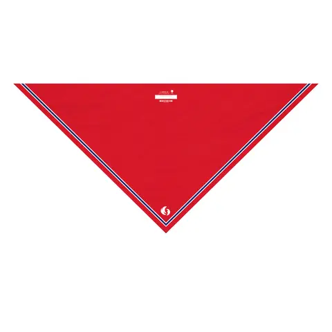 Norgeskjerf for Speiderne i Norge Speiderne Speiderskjerf