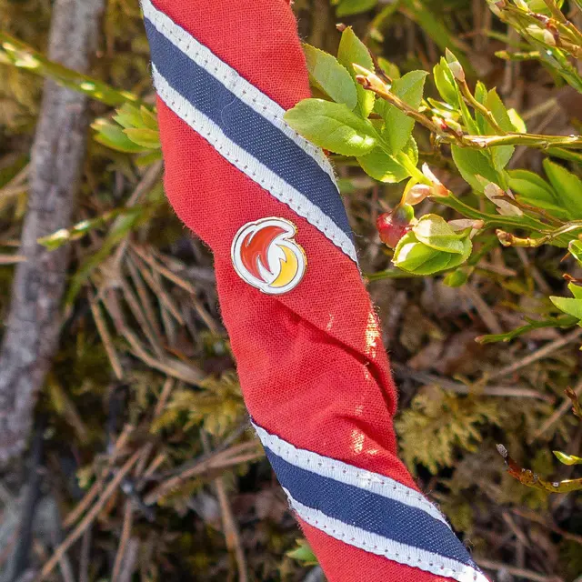Pins Speiderne Logopins 