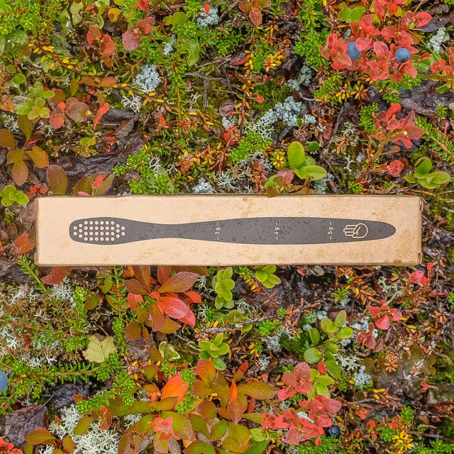 Tannbørste SS Turtannbørste 