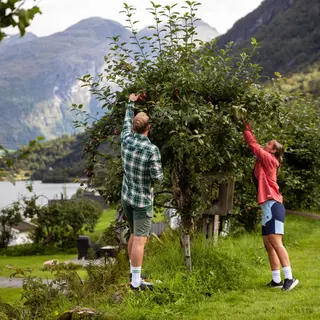 Skjorte til herre Tufte Hawk Shirt M 204