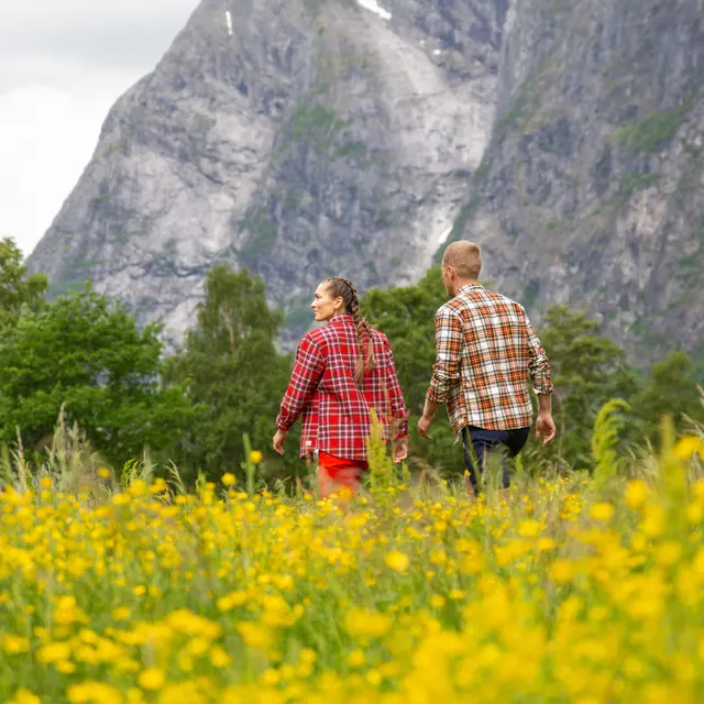 Skjorte til herre M Tufte Hawk Shirt M M 243 